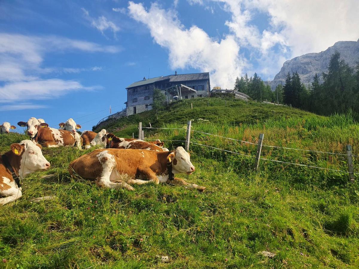 Ferienwohnungen Gaestehaus Laercheck เบิร์ชเทสกาเดน ภายนอก รูปภาพ