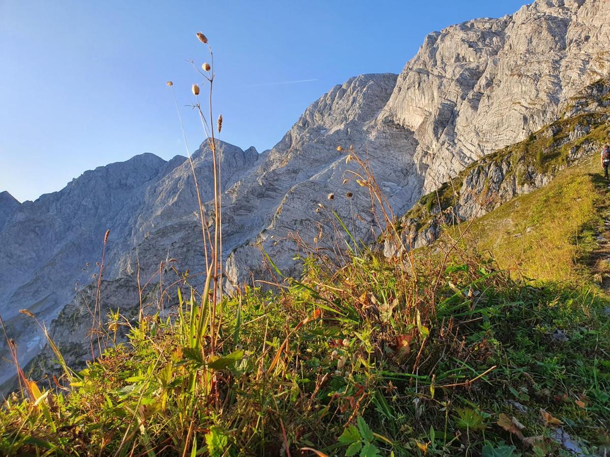 Ferienwohnungen Gaestehaus Laercheck เบิร์ชเทสกาเดน ภายนอก รูปภาพ