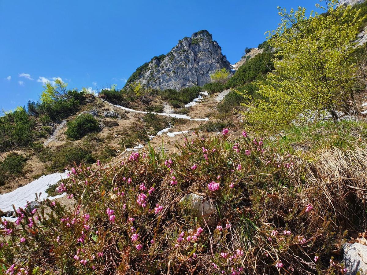 Ferienwohnungen Gaestehaus Laercheck เบิร์ชเทสกาเดน ภายนอก รูปภาพ